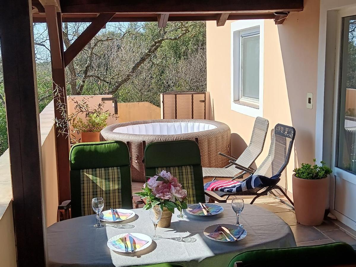 Apartment Simona - Extra Comfort With Large Terrace And Jacuzzi Barbariga Bagian luar foto